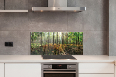 Painel de vidro Floresta de bétulas