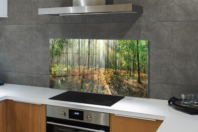 Painel de vidro Floresta de bétulas