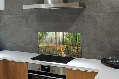 Painel de vidro Floresta de bétulas