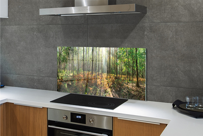 Painel de vidro Floresta de bétulas