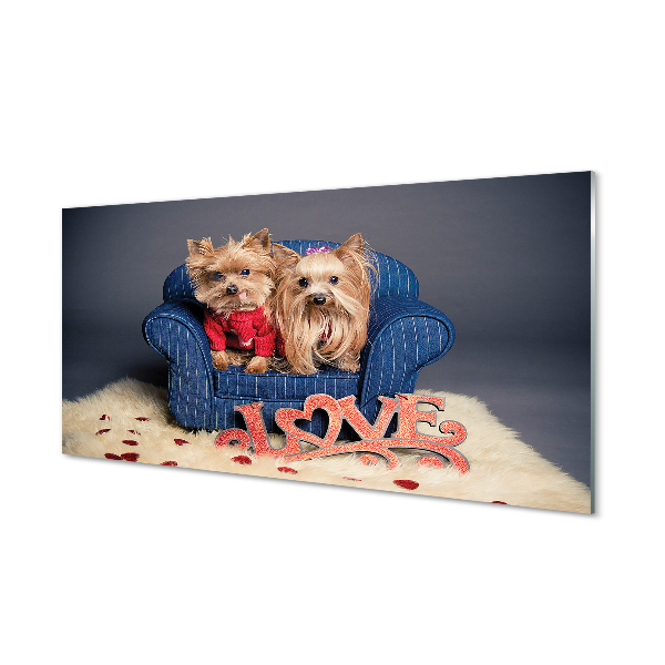 Painel de vidro Yorkies