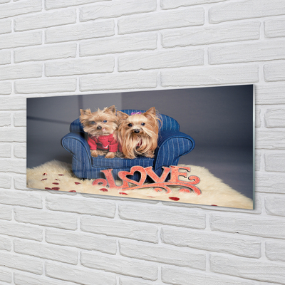 Painel de vidro Yorkies