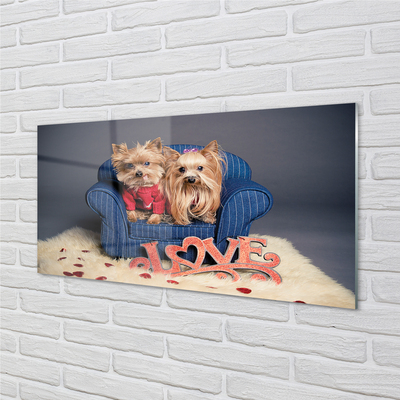 Painel de vidro Yorkies