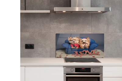 Painel de vidro Yorkies