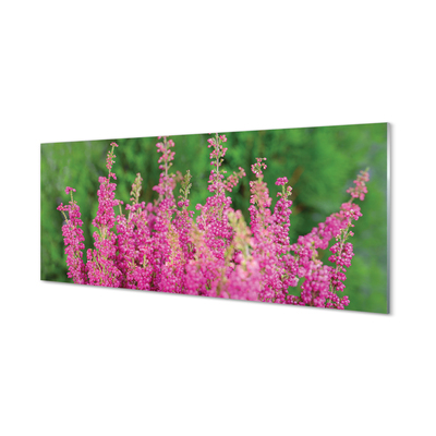 Painel de vidro Flores de urze