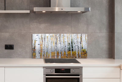 Painel de vidro Bétula de outono