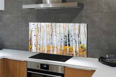 Painel de vidro Bétula de outono