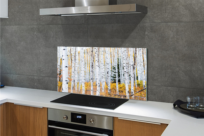 Painel de vidro Bétula de outono