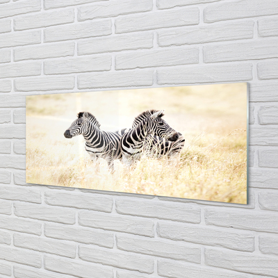 Painel de vidro Campo de zebras