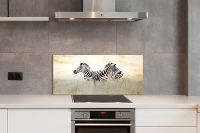 Painel de vidro Campo de zebras
