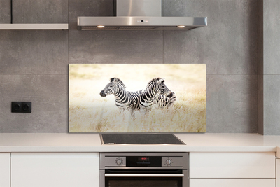 Painel de vidro Campo de zebras