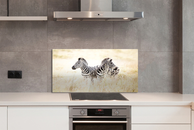 Painel de vidro Campo de zebras