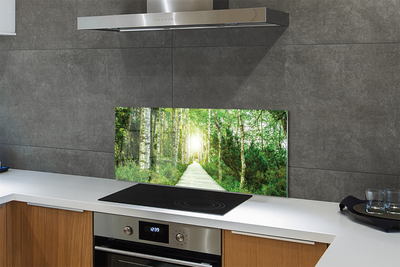 Painel de vidro Bétulas da floresta da estrada