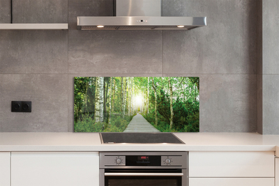 Painel de vidro Bétulas da floresta da estrada