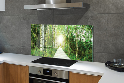 Painel de vidro Bétulas da floresta da estrada