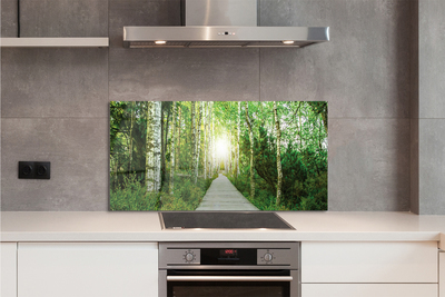 Painel de vidro Bétulas da floresta da estrada