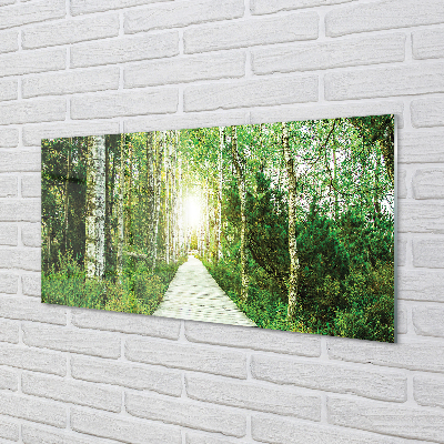 Painel de vidro Bétulas da floresta da estrada