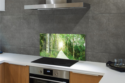 Painel de vidro Bétulas da floresta da estrada