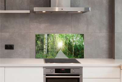 Painel de vidro Bétulas da floresta da estrada