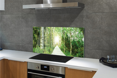 Painel de vidro Bétulas da floresta da estrada