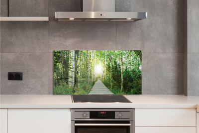 Painel de vidro Bétulas da floresta da estrada