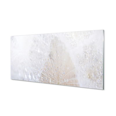 Painel de vidro Resumo de gotas de dente-de-leão