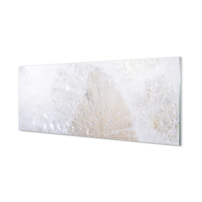 Painel de vidro Resumo de gotas de dente-de-leão