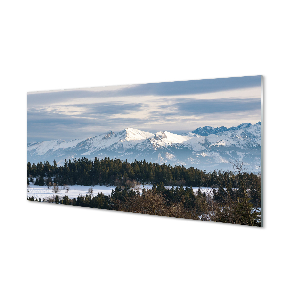 Painel de vidro Montanhas neve de inverno