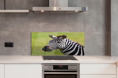 Painel de vidro Costelas