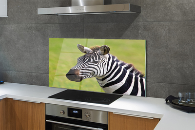 Painel de vidro Costelas