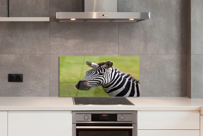 Painel de vidro Costelas