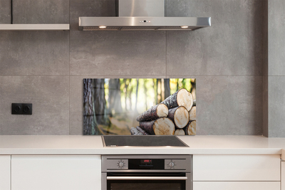 Painel de vidro Madeira natureza floresta