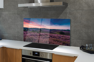 Painel de vidro Campo de urze