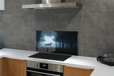 Painel de vidro Unicórnio da noite da floresta