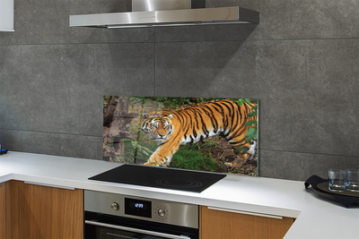 Painel de vidro Floresta do Tigre