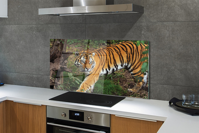 Painel de vidro Floresta do Tigre