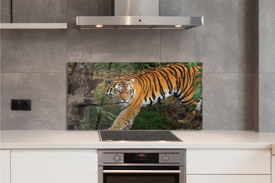 Painel de vidro Floresta do Tigre
