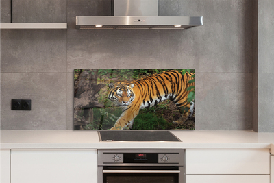 Painel de vidro Floresta do Tigre