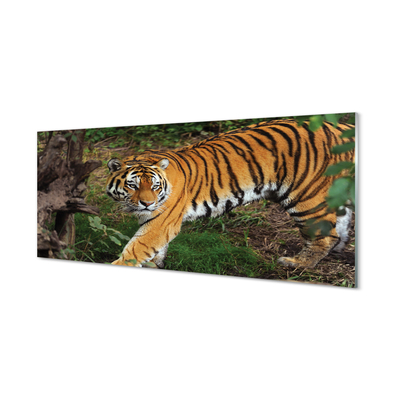 Painel de vidro Floresta do Tigre