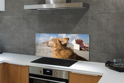 Painel de vidro Praia para cães marrons