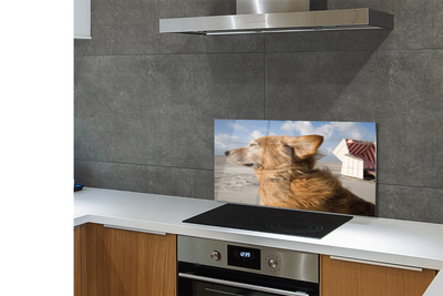 Painel de vidro Praia para cães marrons