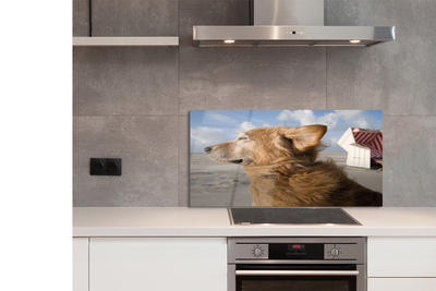 Painel de vidro Praia para cães marrons