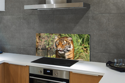 Painel de vidro Floresta do Tigre