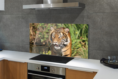 Painel de vidro Floresta do Tigre