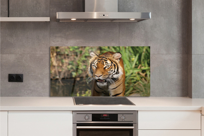 Painel de vidro Floresta do Tigre