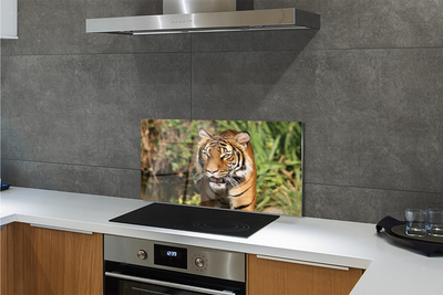 Painel de vidro Floresta do Tigre