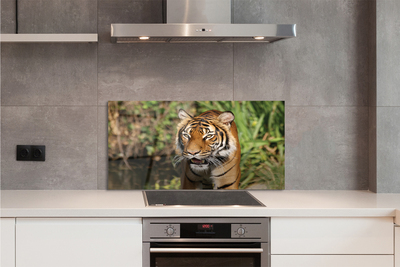 Painel de vidro Floresta do Tigre