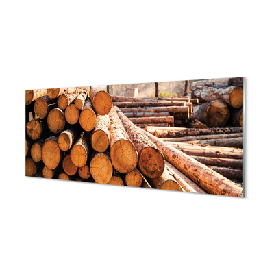 Painel de vidro Armazenamento de toras de madeira