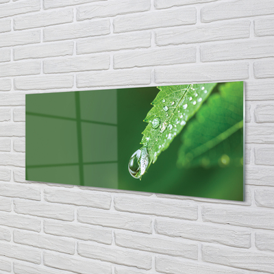 Painel de vidro Gota de água em uma folha