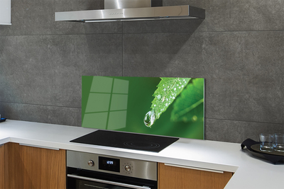 Painel de vidro Gota de água em uma folha